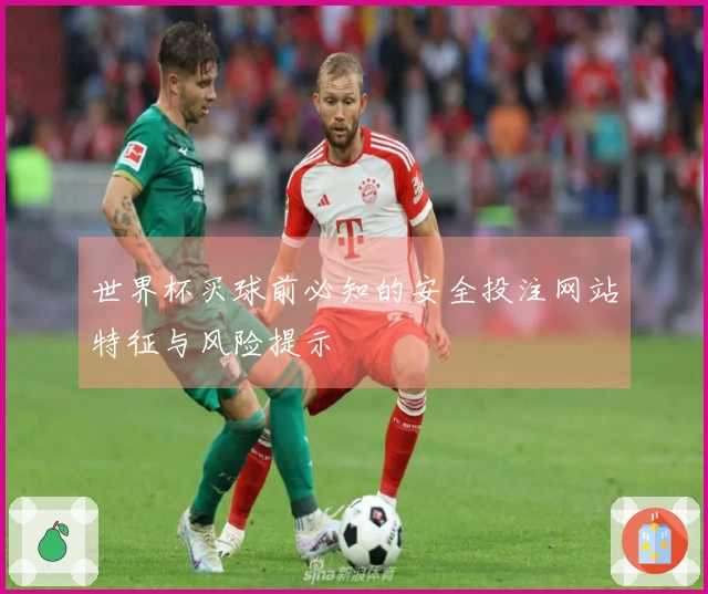 世界杯买球前必知的安全投注网站特征与风险提示