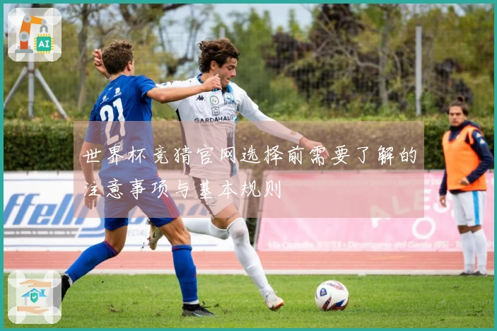 世界杯竞猜官网选择前需要了解的注意事项与基本规则