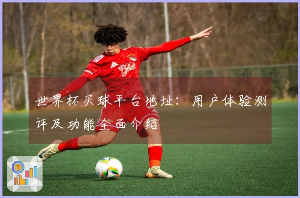 世界杯买球平台地址：用户体验测评及功能全面介绍