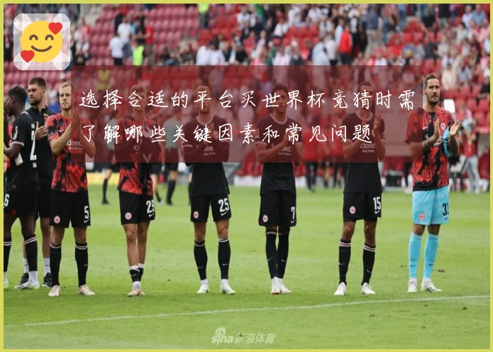 选择合适的平台买世界杯竞猜时需了解哪些关键因素和常见问题