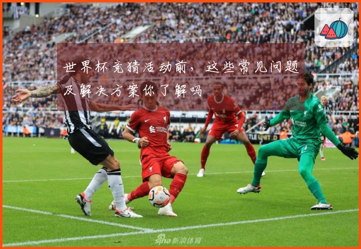世界杯竞猜活动前，这些常见问题及解决方案你了解吗