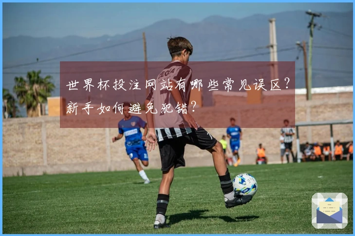 世界杯投注网站有哪些常见误区？新手如何避免犯错？