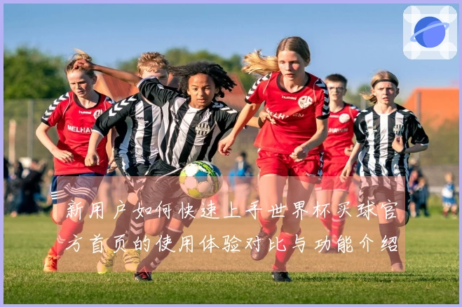 新用户如何快速上手世界杯买球官方首页的使用体验对比与功能介绍