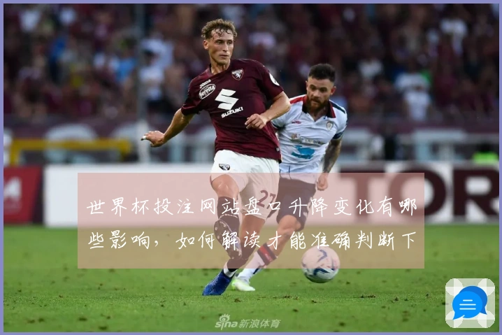 世界杯投注网站盘口升降变化有哪些影响，如何解读才能准确判断下注时机？