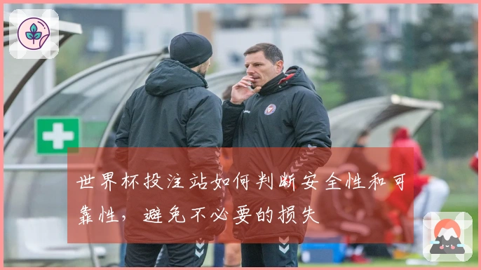 世界杯投注站如何判断安全性和可靠性，避免不必要的损失
