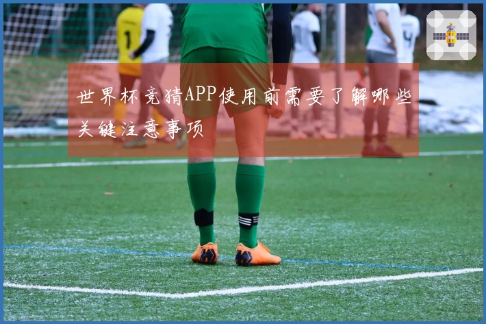 世界杯竞猜APP使用前需要了解哪些关键注意事项
