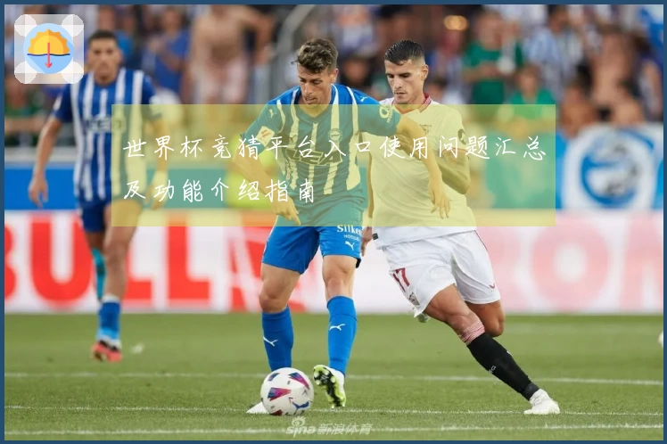 世界杯竞猜平台入口使用问题汇总及功能介绍指南