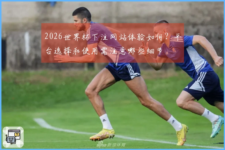 2026世界杯下注网站体验如何？平台选择和使用需注意哪些细节