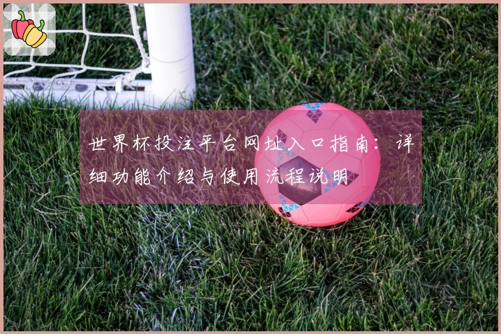世界杯投注平台网址入口指南:详细功能介绍与使用流程说明