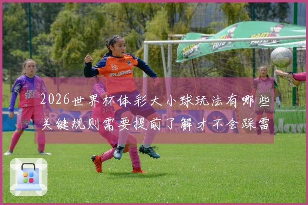2026世界杯体彩大小球玩法有哪些关键规则需要提前了解才不会踩雷