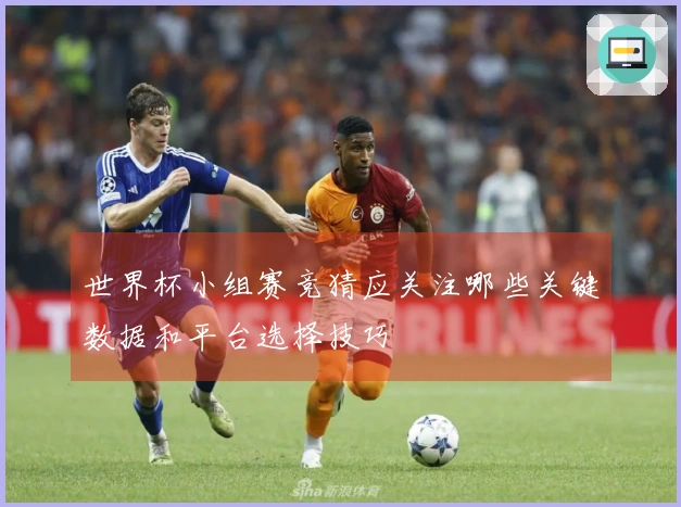 世界杯小组赛竞猜应关注哪些关键数据和平台选择技巧