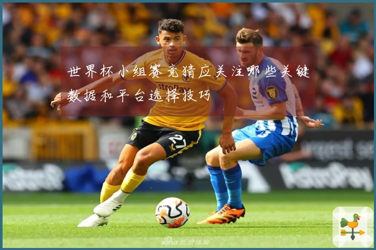 世界杯小组赛竞猜应关注哪些关键数据和平台选择技巧