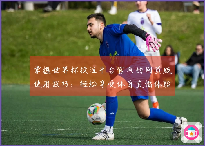 掌握世界杯投注平台官网的网页版使用技巧，轻松享受体育直播体验