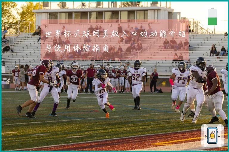 世界杯买球网页版入口的功能介绍与使用体验指南