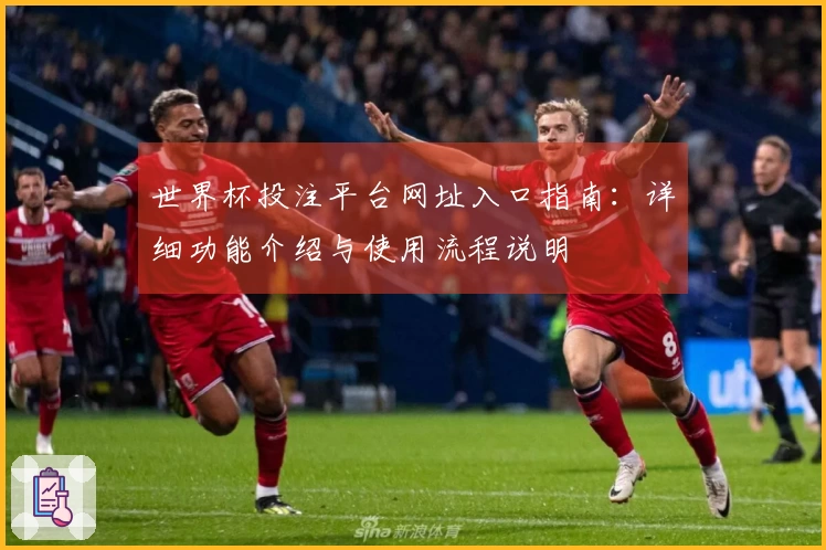 世界杯投注平台网址入口指南：详细功能介绍与使用流程说明