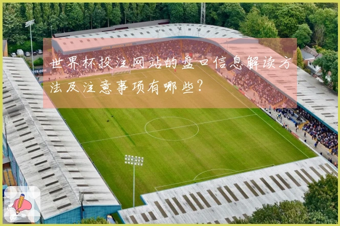 世界杯投注网站的盘口信息解读方法及注意事项有哪些？