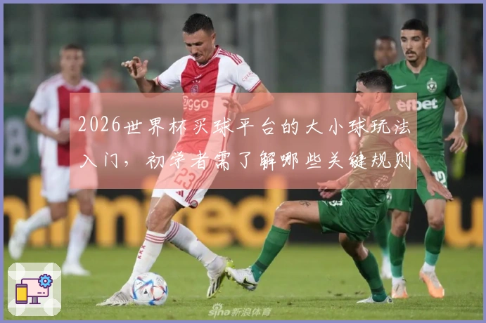 2026世界杯买球平台的大小球玩法入门，初学者需了解哪些关键规则和技巧
