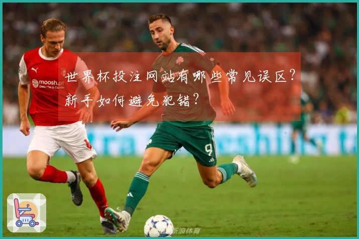 世界杯投注网站有哪些常见误区？新手如何避免犯错？