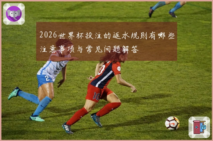 2026世界杯投注的返水规则有哪些注意事项与常见问题解答