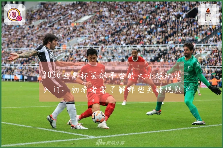 2026世界杯买球平台的大小球玩法入门，初学者需了解哪些关键规则和技巧