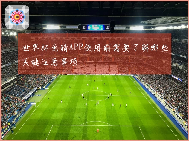 世界杯竞猜APP使用前需要了解哪些关键注意事项