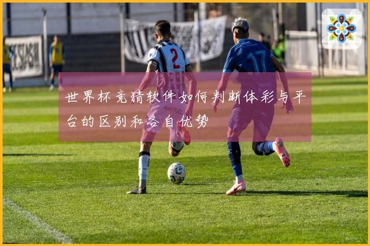 世界杯竞猜软件如何判断体彩与平台的区别和各自优势