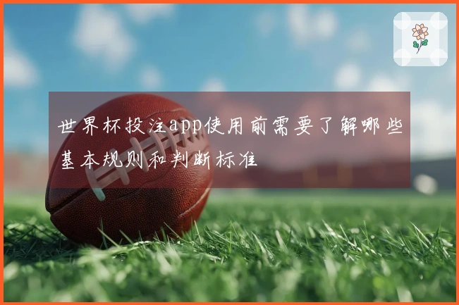 世界杯投注app使用前需要了解哪些基本规则和判断标准