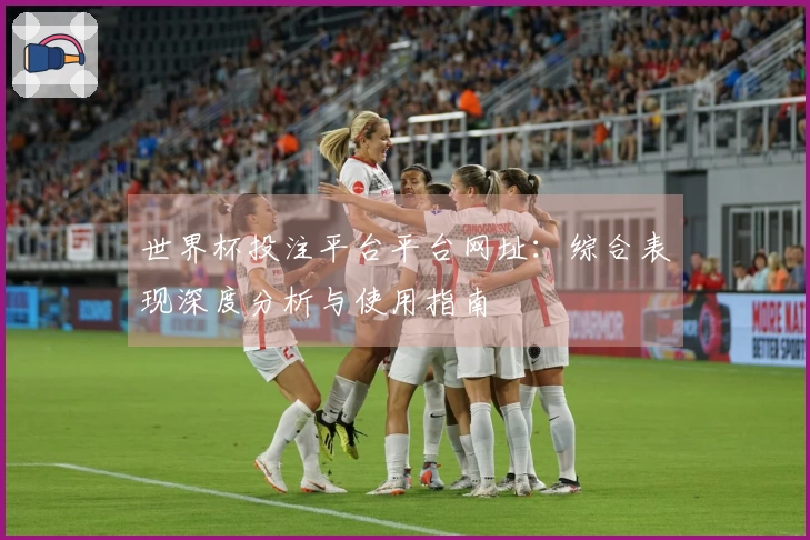 世界杯投注平台平台网址：综合表现深度分析与使用指南