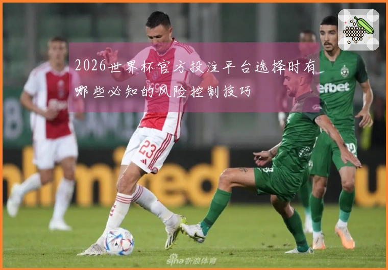 2026世界杯官方投注平台选择时有哪些必知的风险控制技巧