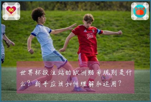 世界杯投注站的欧洲赔率规则是什么？新手应该如何理解和运用？