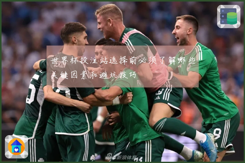 世界杯投注站选择前必须了解哪些关键因素和避坑技巧