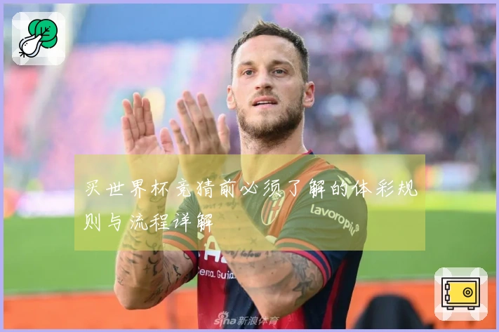 买世界杯竞猜前必须了解的体彩规则与流程详解