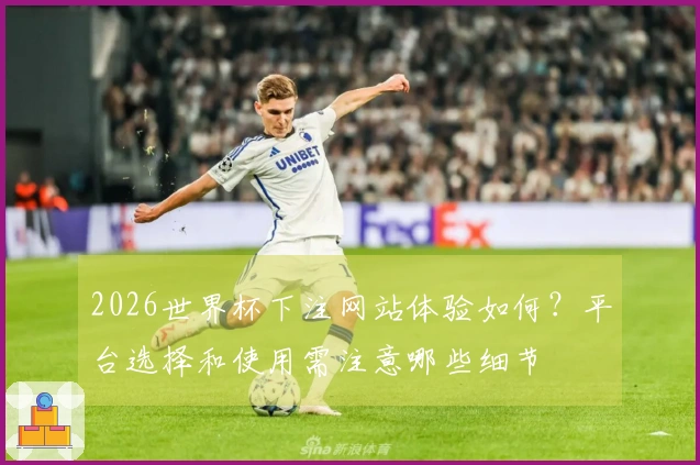 2026世界杯下注网站体验如何？平台选择和使用需注意哪些细节